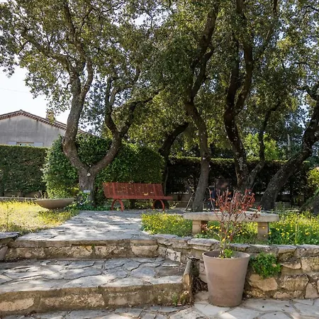 Very Nice House Near Avignon