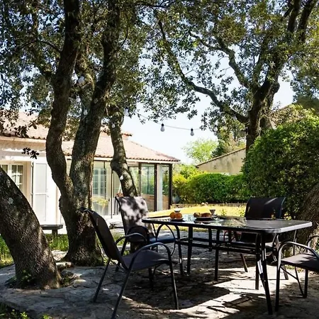 Very Nice House Near Avignon *
